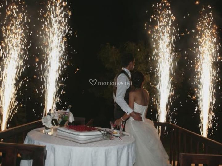 LilyFS, Décorateur d'événements, Articles de Fête