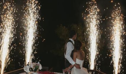 LilyFS, Décorateur d'événements, Articles de Fête