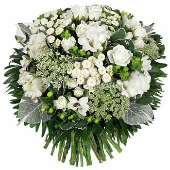 Bebloom