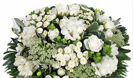 Bebloom