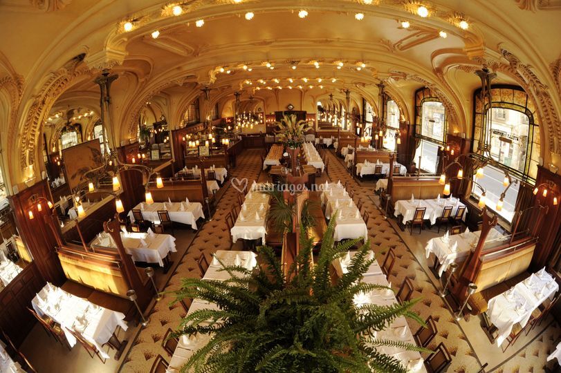 2011-excelsior-interieur-salle-vide30-st