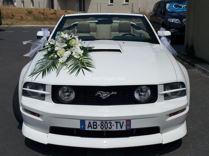 Mustang Wedding