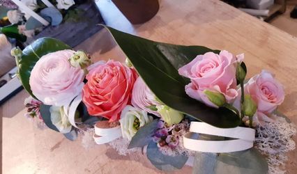 Pivoine