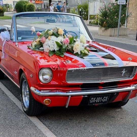 Mustang Location