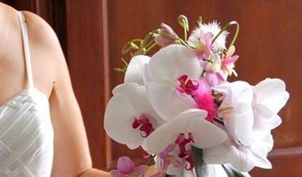 Passiflore