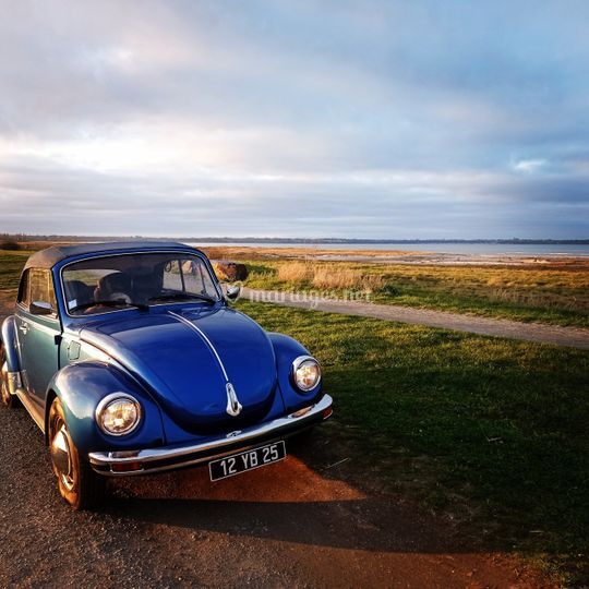 Cox cabriolet du 35