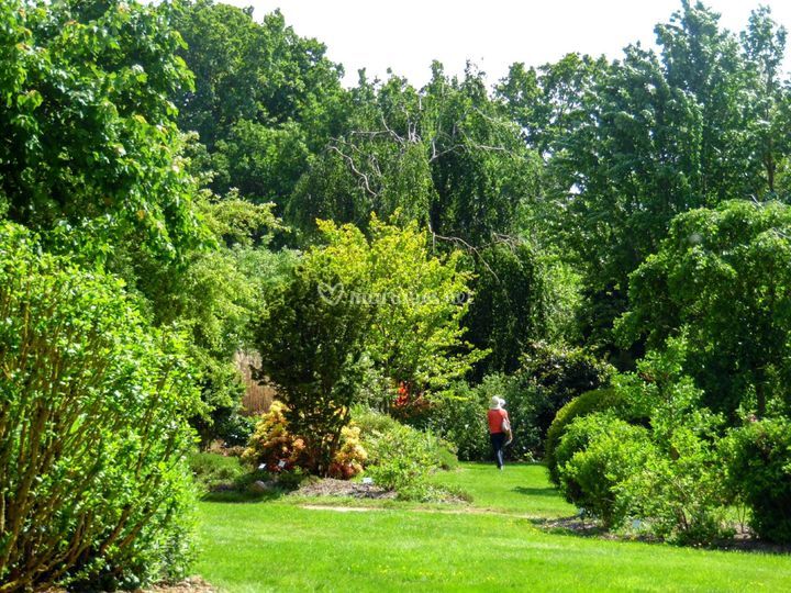 Jardins De Broceliande