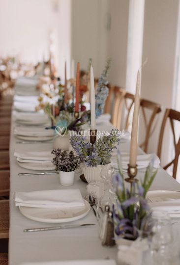 Graine de Joie Event