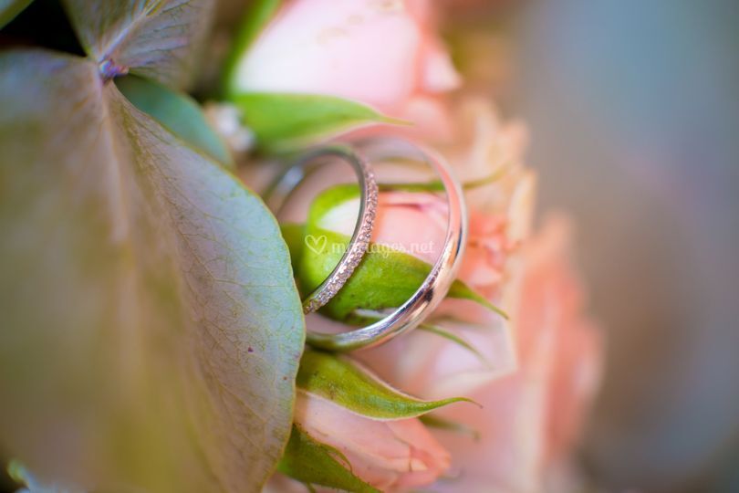 Brut de vie Photographie