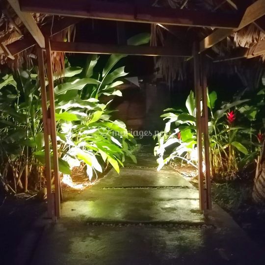 Les Mille et Une Nuits