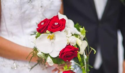 Anyflor