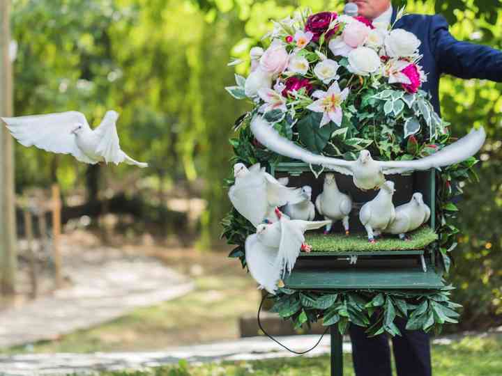 Un Lacher De Colombes Pour Votre Mariage