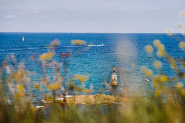 Platinium Photography 1