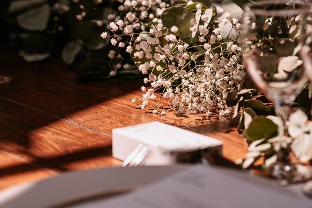 Le mariage de Violaine et John 3
