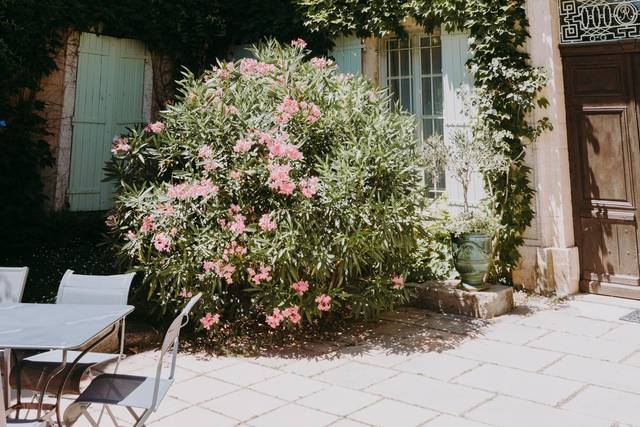 Jules Roques Photography 1