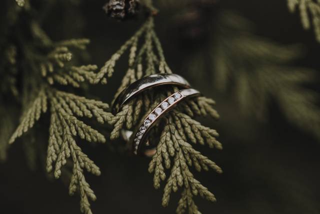 Le mariage de Zoé et Morgan 2