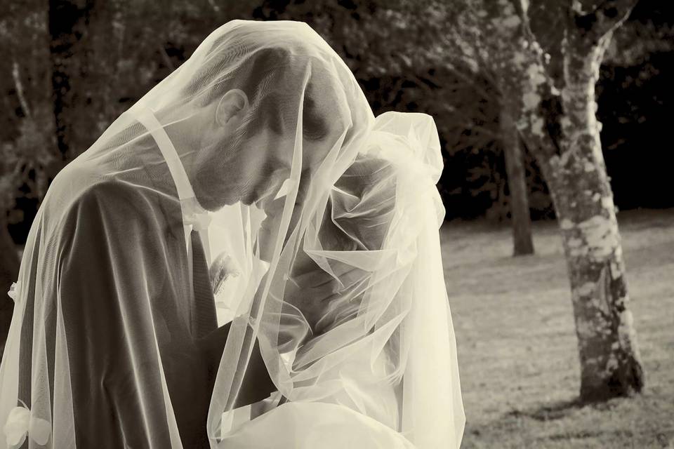 Le mariage de Pauline et Vincent