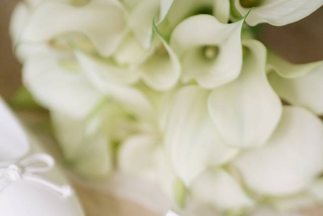 Le mariage de Carolina et Victor 2