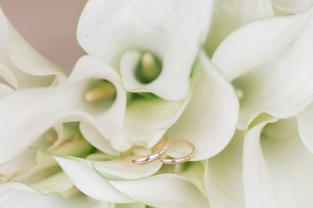 Le mariage de Carolina et Victor 3