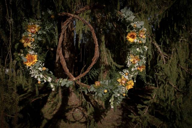 Le mariage de Marie et Jonathan 1