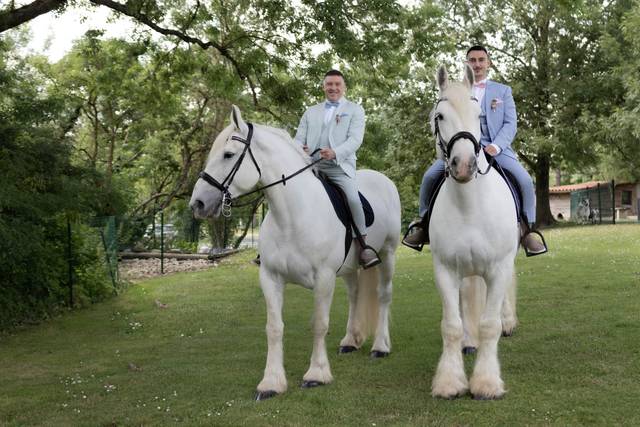 Le mariage de Jean et Tiago 1