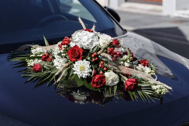 Le mariage de Maximilien et Steffi 1