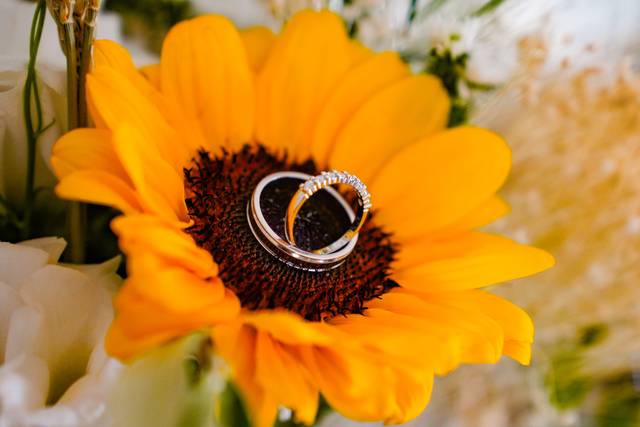 Le mariage de Magali et Fabien 3
