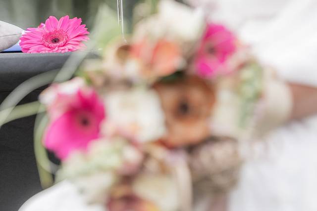 Le mariage de Isabelle et Cédric 2