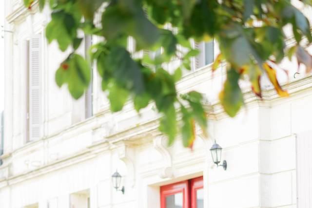 Le mariage de Astrée et Thibault 3