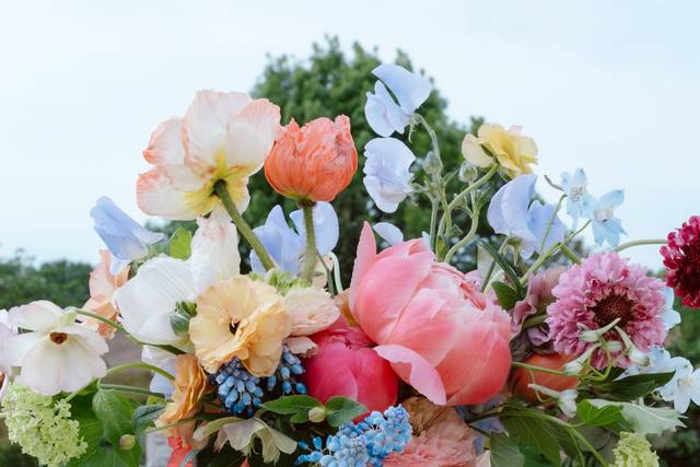 Le mariage de Rachel et Emanuel 1