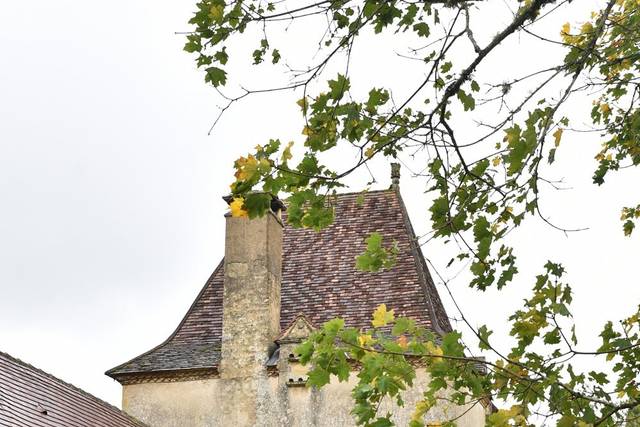 Le mariage de Edith et Luc 2