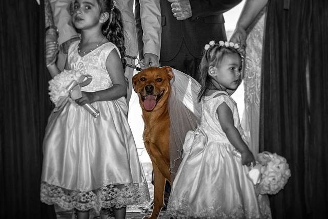 Le mariage de Severine et Jean Luc 1