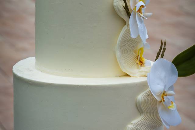 Le mariage de Alae et Samia 2