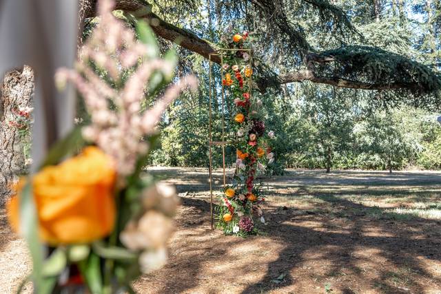 Le mariage de Julia et Pablo 3