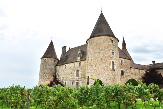 Le mariage de Charlotte et Antoine 1