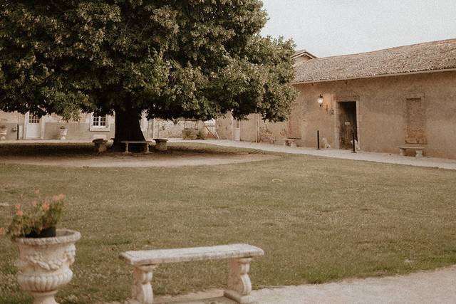 Le mariage de Elena et Michael 1