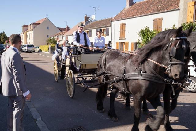 Le mariage de Julie et Alex 3