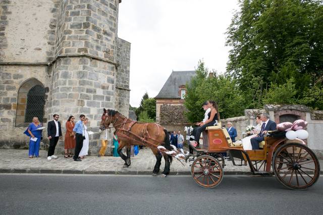 Le mariage de Roza et Franck 1