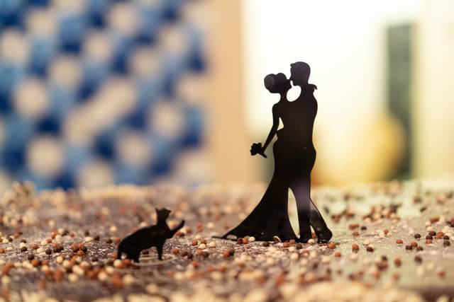 Le mariage de Alicia et Christopher 3