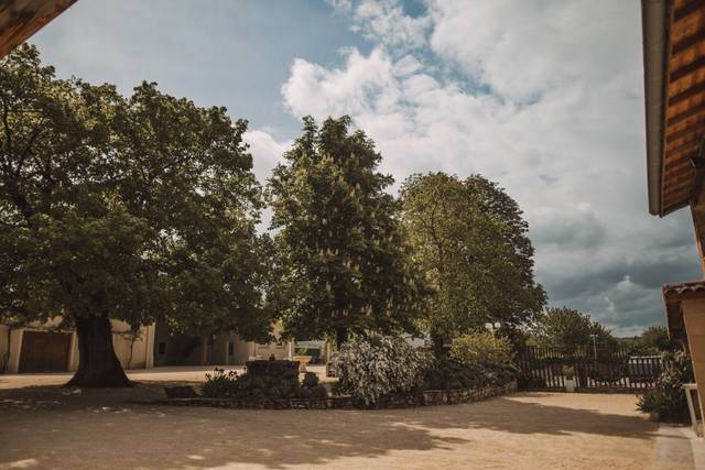 Le mariage de Camille et Vincent 2