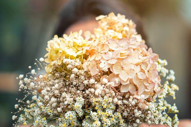 Le mariage de Guillaume et Florence 1