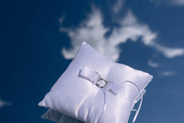 Le mariage de Sonia et Greg 1