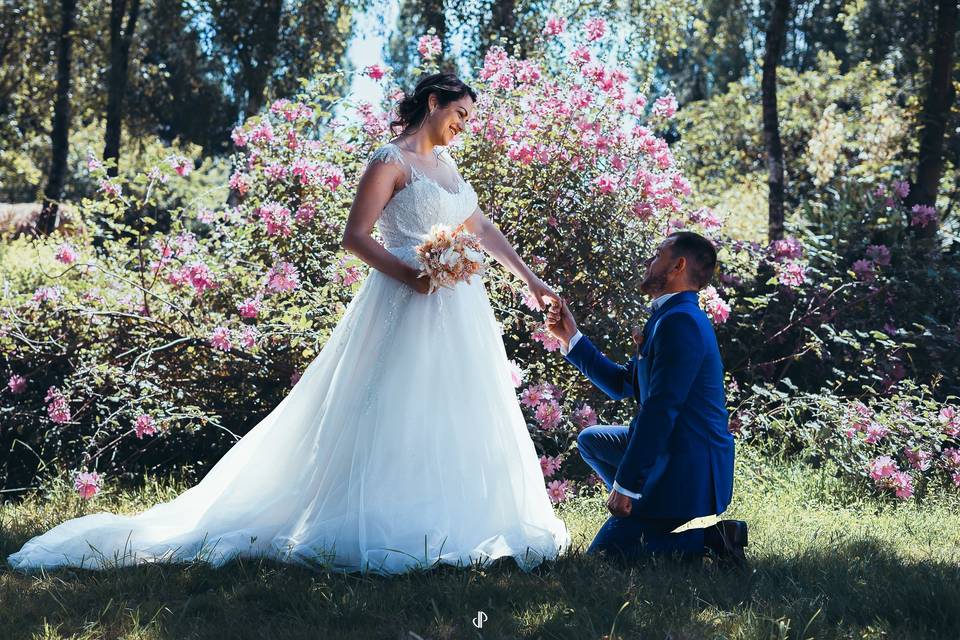 Le mariage de Sandra et Ludovic