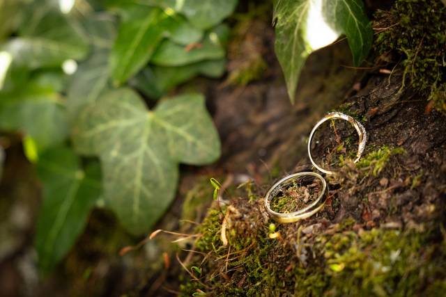 Le mariage de Julien et Tabéa 2