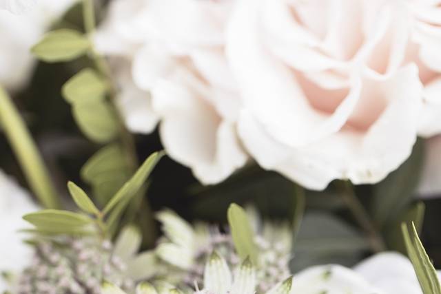 Le mariage de Katel et Corentin 2