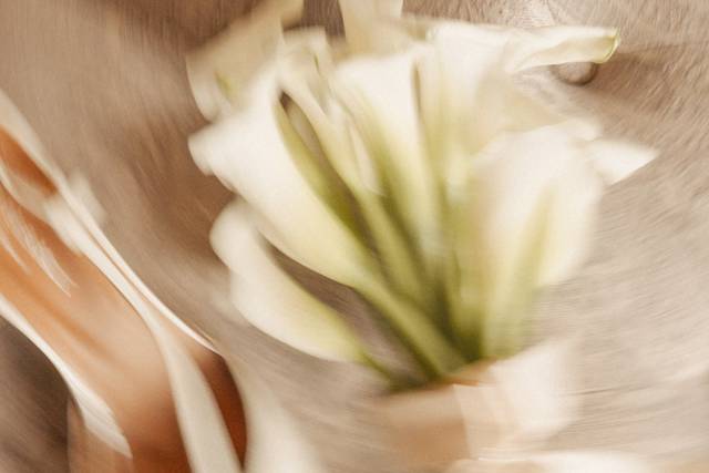 Le mariage de Agathe et Rafael 3