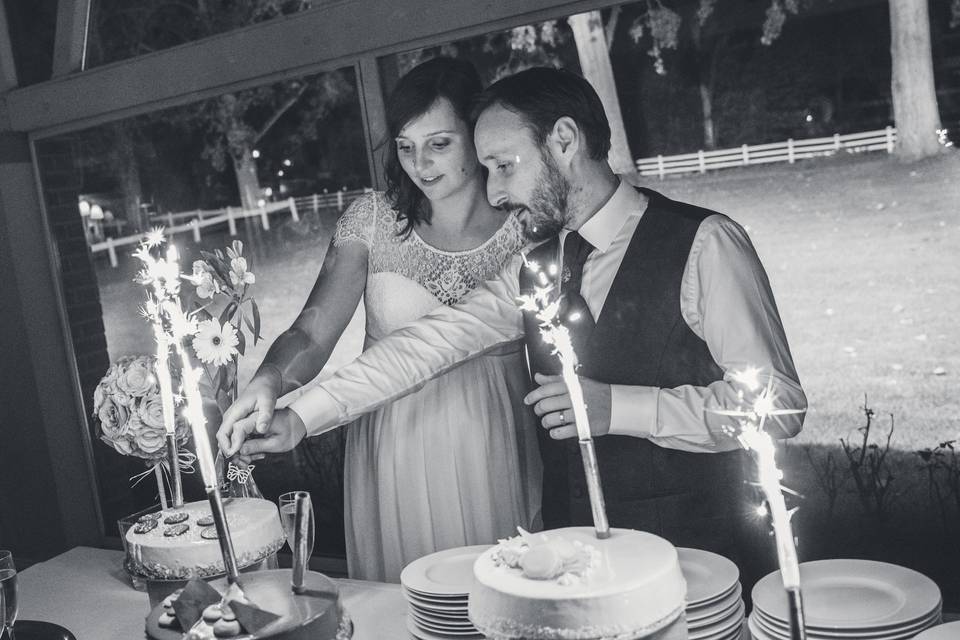 Le mariage de Eloise et Antoine