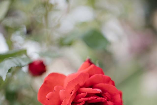 Le mariage de Anna et Romain 3
