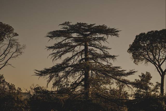 Le mariage de Laura et Fabien 2