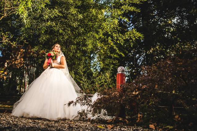 Le mariage de Anthony et Patricia 2